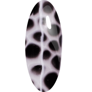 Blooming White Gel Polish